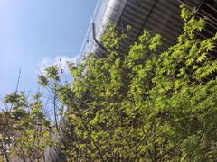 -舒小悦·舒养SPA·古法推拿(光环中心店)