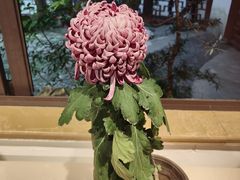 -汇龙潭