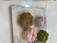 -喵园·猫主题咖啡厅·撸猫·猫咖(国贸店)