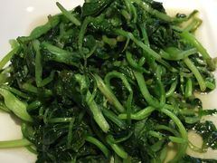 清炒鸡毛菜-19号私房菜(云南路店)