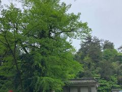 -毛泽东同志旧居
