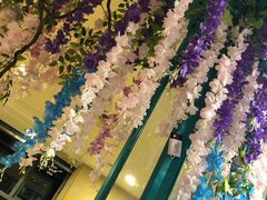 -青瓷火锅料理(西单大悦城店)