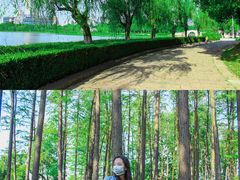 -月湖风景区