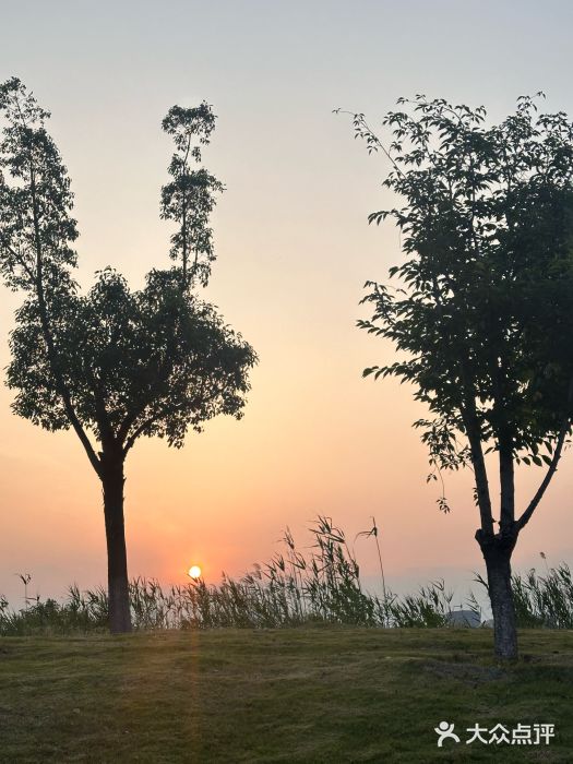 梦之蓝青奥体育公园体育馆图片