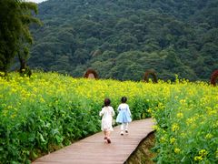 -广州市石门国家森林公园