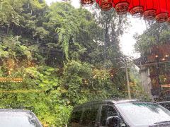 -七彩云酸水鱼(龙胜十七分店)