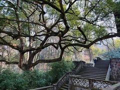 -虎跑公园