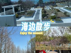 -西京湾花海