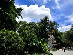 -荔湾湖公园
