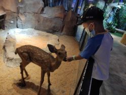 -酷嗒动物文化乐园(cutezoo西溪乐天城店)