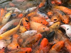 景点-月牙潭公园