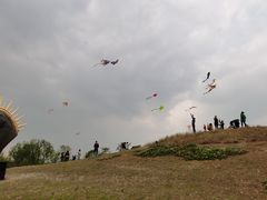 -白鹭湾湿地公园