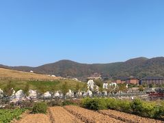 -东庐山观音寺
