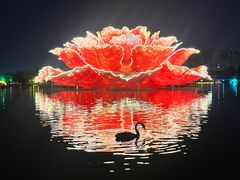 -洛阳市隋唐城遗址植物园