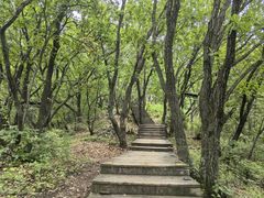 -帽儿山国家森林公园