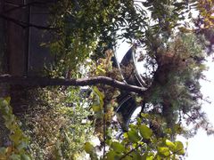 iphone_upload_pic-迎泽公园