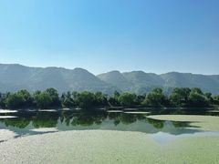 -函谷关历史文化旅游区