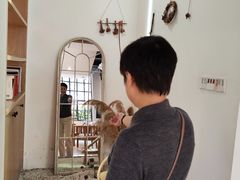 -叩听咖啡 kotiin cafe(福新路店)