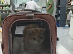 -达爱动物医院·犬猫分区·CT·复杂眼科(远洋山水分院)