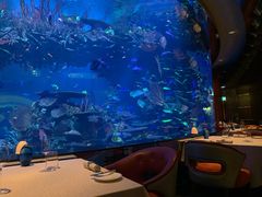 -迪拜帆船酒店海底餐厅