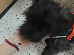 -瑞派康怡24h宠物医院·犬猫医疗中心·微创绝育(瑞景分院)