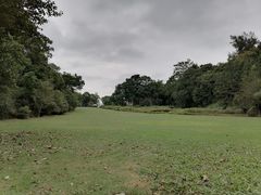 -南宁良凤江国家森林公园