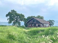 -良渚古城遗址公园