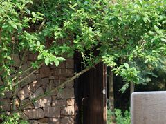 -看见远方·莫干遥远的山民宿