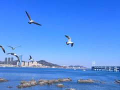 -黑石礁公园