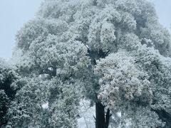 -庐山风景名胜区