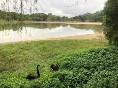 -福建鲤鱼洲酒店