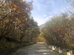 -白草畔自然风景区