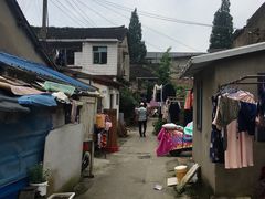 -三林塘老街