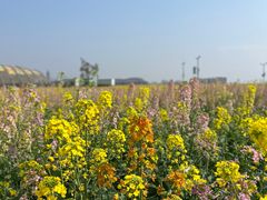 -中国天府农业博览园