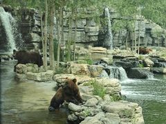 -北京野生动物园