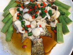 鲜花椒蒸桂花鲈-猪肉婆私房菜(容桂总店)