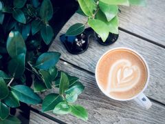 -Peet's Coffee皮爷咖啡(大学路店)