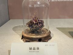 -湖南省地质博物馆