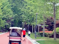 -黄海国家森林公园