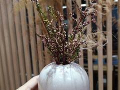 -扫雪煮茶(西村店)