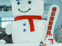 -哈尔滨热雪奇迹