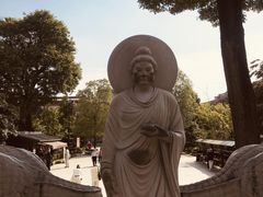 -西安大兴善寺