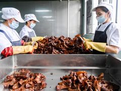 -西环肥仔螺蛳粉(总店)