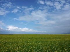 -青海湖国家重点风景名胜区