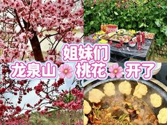 -桃源山庄·水蜜桃采摘·柴火鸡·烧烤团建(龙泉山店)