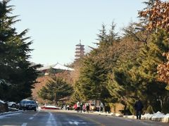 -石岛赤山风景区
