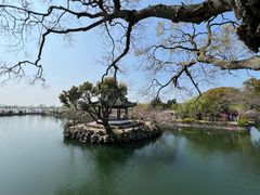 -无锡蠡湖国家湿地公园-蠡园