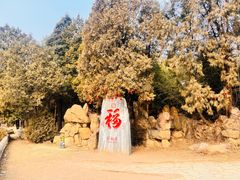 -潭柘寺景区