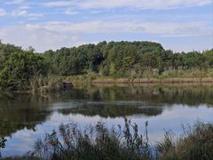 -白鹭湾湿地公园