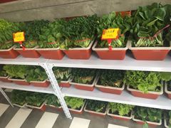 -捞围鲜·港式打边炉(海阳路店)